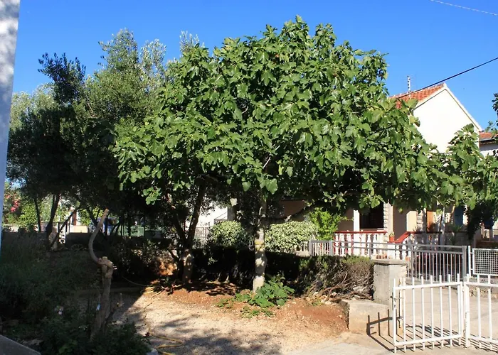 By The Sea Zdrelac, Pasman - 697