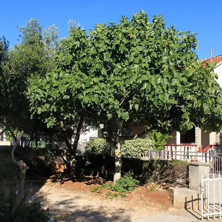 By The Sea Zdrelac, Pasman - 697